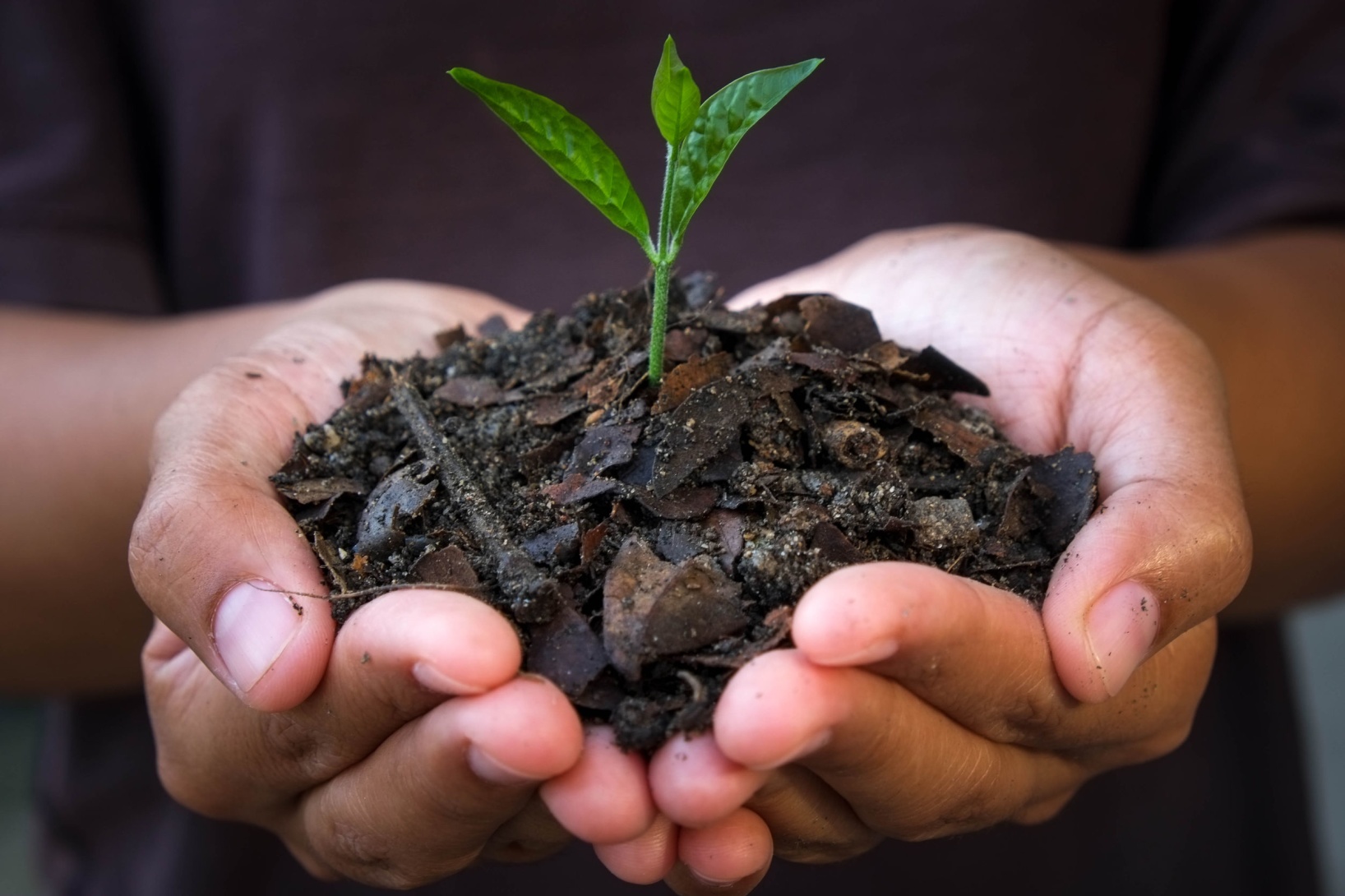 What is Biochar